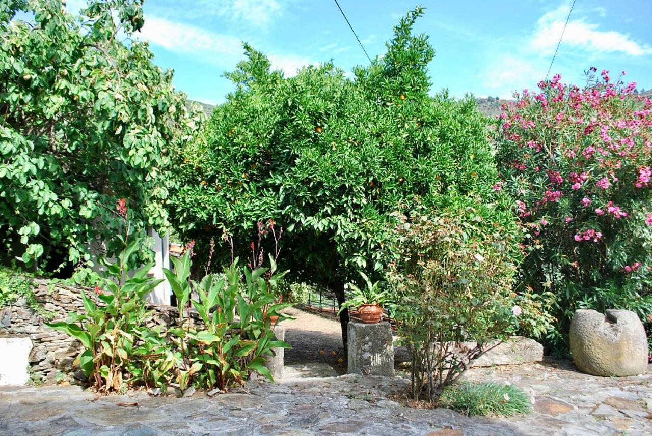Casa De Mendiz Villa Vale de Mendiz Dış mekan fotoğraf