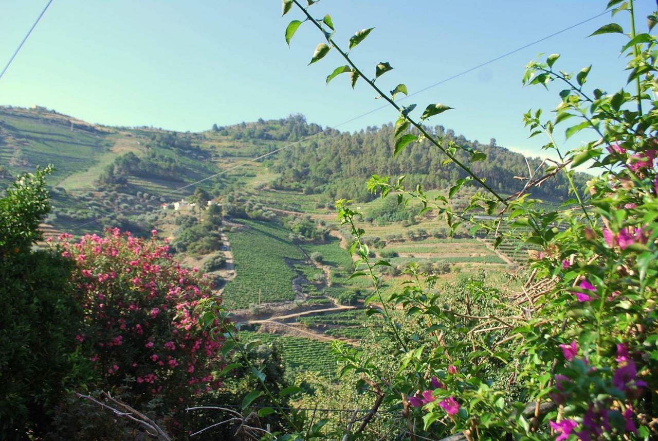 Casa De Mendiz Villa Vale de Mendiz Dış mekan fotoğraf